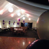 DSCF2126.JPG