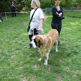 DSCF2264.JPG