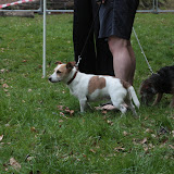 IMG_7501.JPG