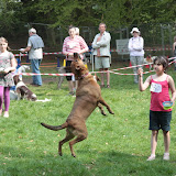 IMG_7505.JPG