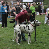 IMG_7514.JPG