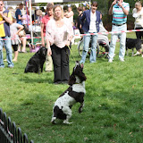 IMG_7527.JPG