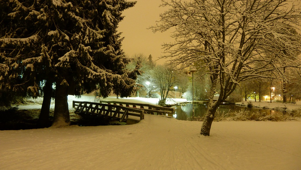 [2010-10-23 Umea First Snow 032[8].jpg]