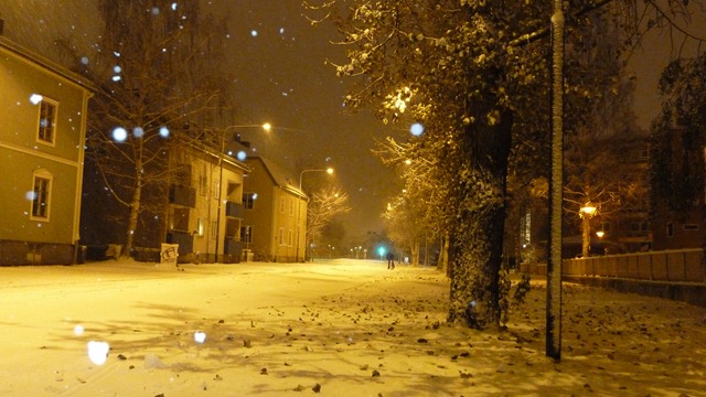 2010-10-23 Umea First Snow 009