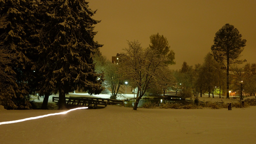 [2010-10-23 Umea First Snow 022[4].jpg]