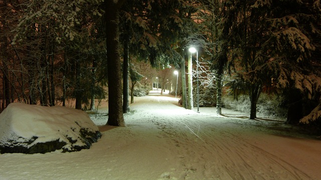 2010-10-23 Umea First Snow 041