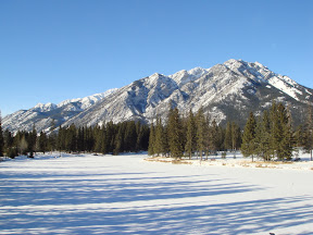 DSC00516.JPG