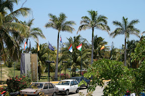 IMG_0636.JPG