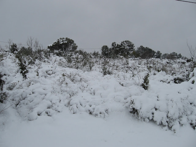 photo%20neige%208%20mars%202010%20101.jpg