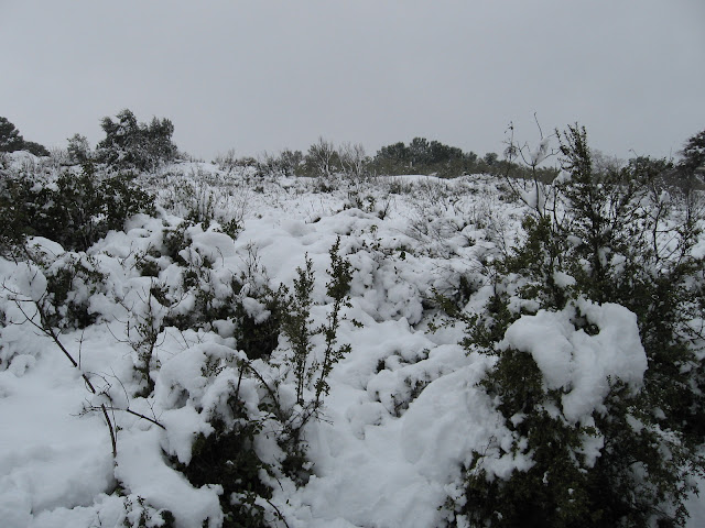 photo%20neige%208%20mars%202010%20105.jpg