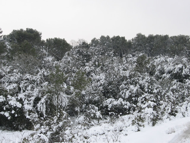photo%20neige%208%20mars%202010%20123.jpg
