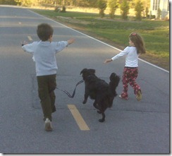 IMG00260 IMG00260