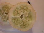 DSC02462.JPG