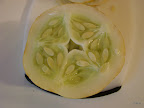 DSC02463.JPG