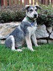 DSC02524.JPG