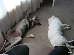 DSC02751.JPG