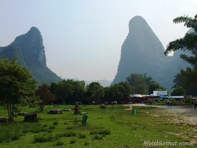 Big Banyan Tree in Yangshuo picture guilin escapade photo