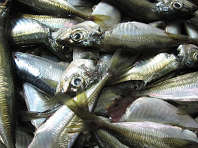 25 Foods Women Should Eat to Defy Aging Process anti aging food, fish
