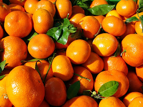 25 Foods Women Should Eat to Defy Aging Process anti aging food, orange