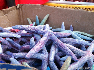 Gaya Street Sunday Market picture sabah escapade  photo