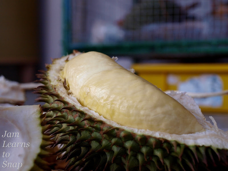 durian, fruit, photography