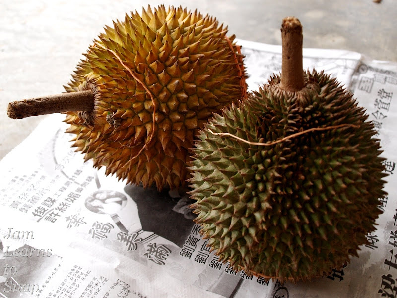 durian, fruit, photography