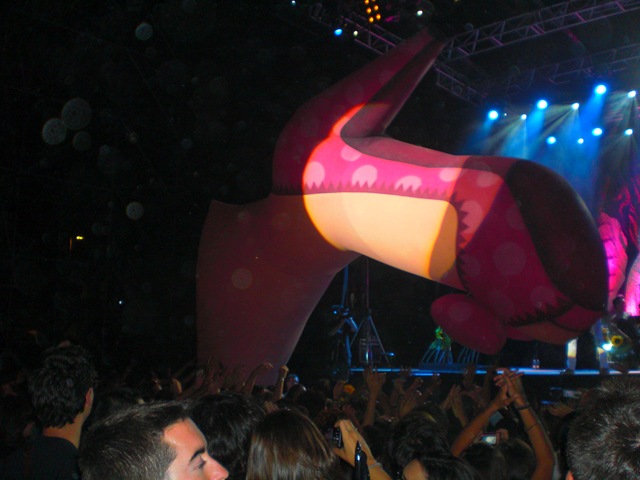 Zapato3