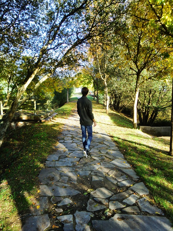 Lagares otoño 027