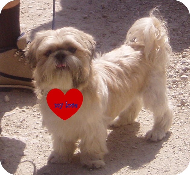 [my love[4].jpg]