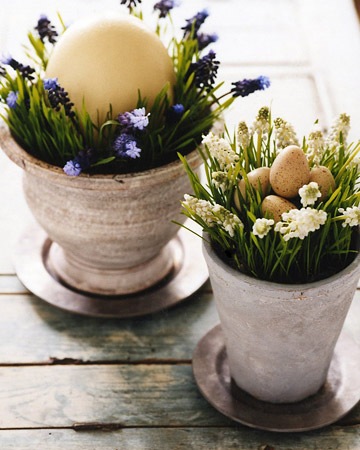 [pasqua3[6].jpg]