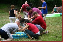 IMG_5694 IMG_5694
