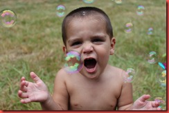 IMG_0819 IMG_0819