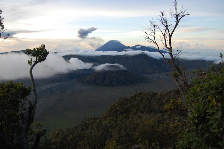 Bromo View
