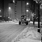 _N8Q9718.jpg