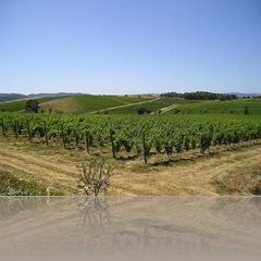 rocca