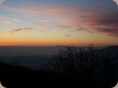 DSCN0018