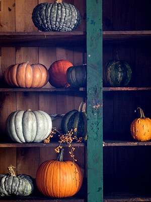 [ss_FolkArtPumpkins098[4].jpg]
