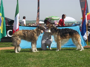 rumunia2010.jpg