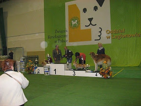 IMG_7078.jpg