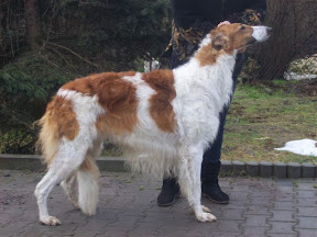 POETYCKI PATOS Polot 17m.jpg