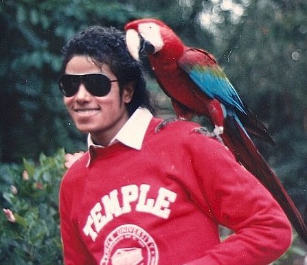 MJ-with-animals-michael-jackson-11646451-447-386.jpg