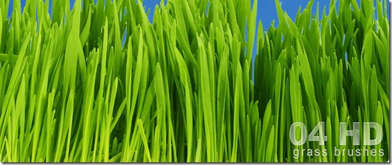 grass-hd-brushes-large grass-hd-brushes-large