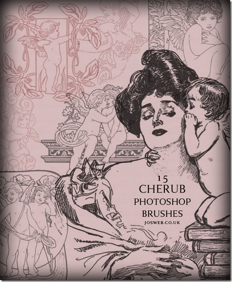 cheub cheub