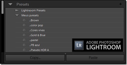 Presets adobe Lightroom Presets adobe Lightroom