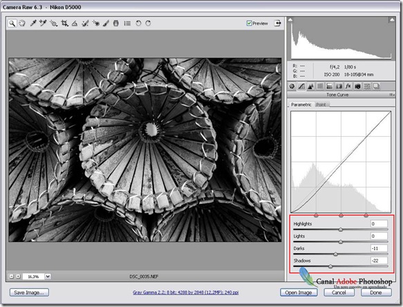 Converter imagem em preto e branco no camera raw 00002 Converter imagem em preto e branco no camera raw 00002
