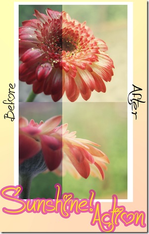 sunshine_action_by_purplequeen7-d3fl6k1 sunshine_action_by_purplequeen7-d3fl6k1