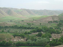 Village with pistachio trees in Afghanistan's Badghis province. (Photo by Koldo Hormaza)