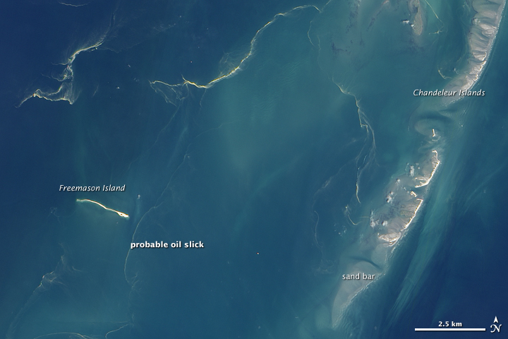 Light tan streamers snake across Chandeleur Sound in this detailed natural-color satellite image from May 5, 2010. The streamers are probably ropes of oil from a leaking well in the Gulf of Mexico. The streamers surround Freemason Island and arc through Chandeleur Sound west of the Chandeleur Islands. The image is from the Advanced Land Imager on NASA’s Earth Observing-1 (EO-1) satellite. NASA Earth Observatory image created by Jesse Allen, using EO-1 ALI data provided courtesy of the NASA EO-1 team.