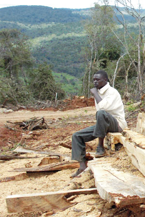 An illegally cleared section of Lembus Forest, Kenya. standardmedia.co.ke