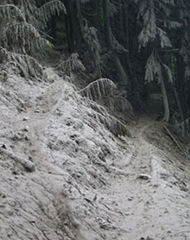 In August 2001, warm temperatures increased melting of the Kautz Glacier. The meltwater saturated loose glacial debris resulting in a small debris flow along Van Trump Creeks. Mud and debris covered trees and trails. National Park Service